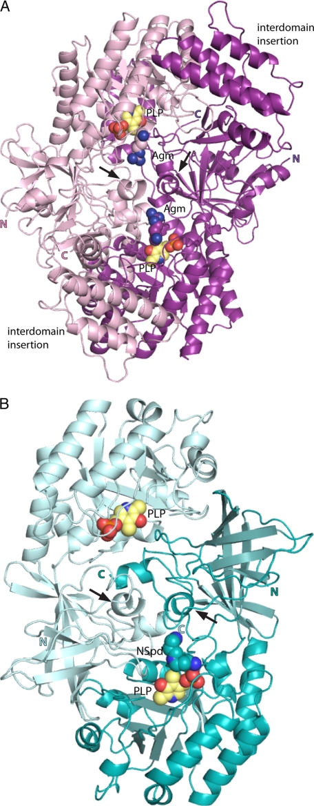 FIGURE 4.