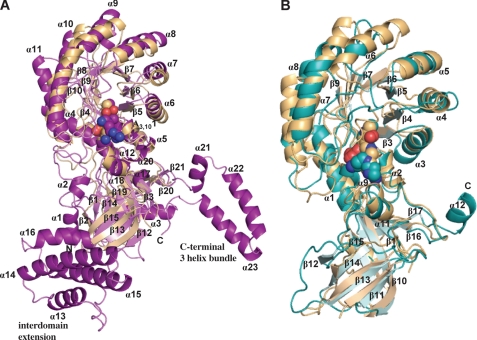 FIGURE 3.