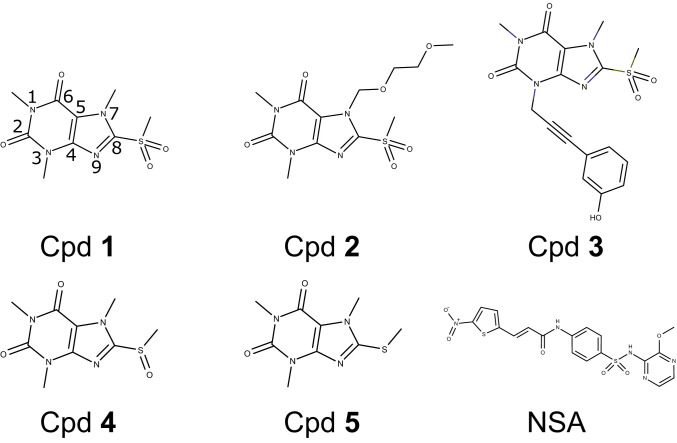 Fig. 1.