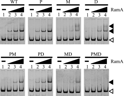 FIG. 5.