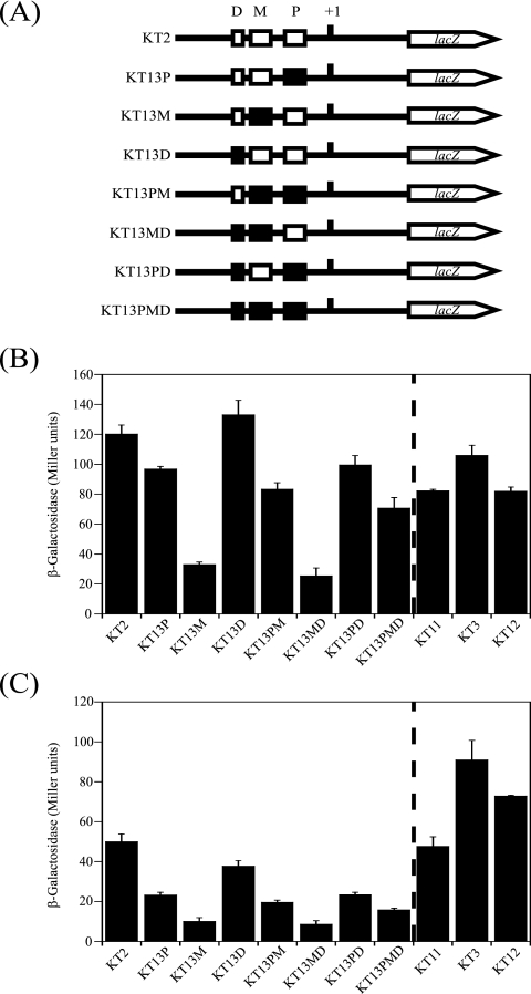 FIG. 6.