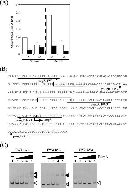 FIG. 7.