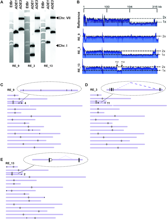 Figure 6.