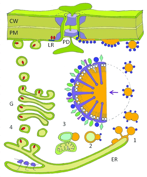 Figure 2.