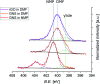 Fig. 8