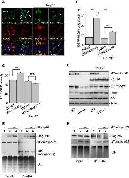 Figure 6