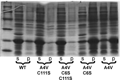 FIGURE 10.