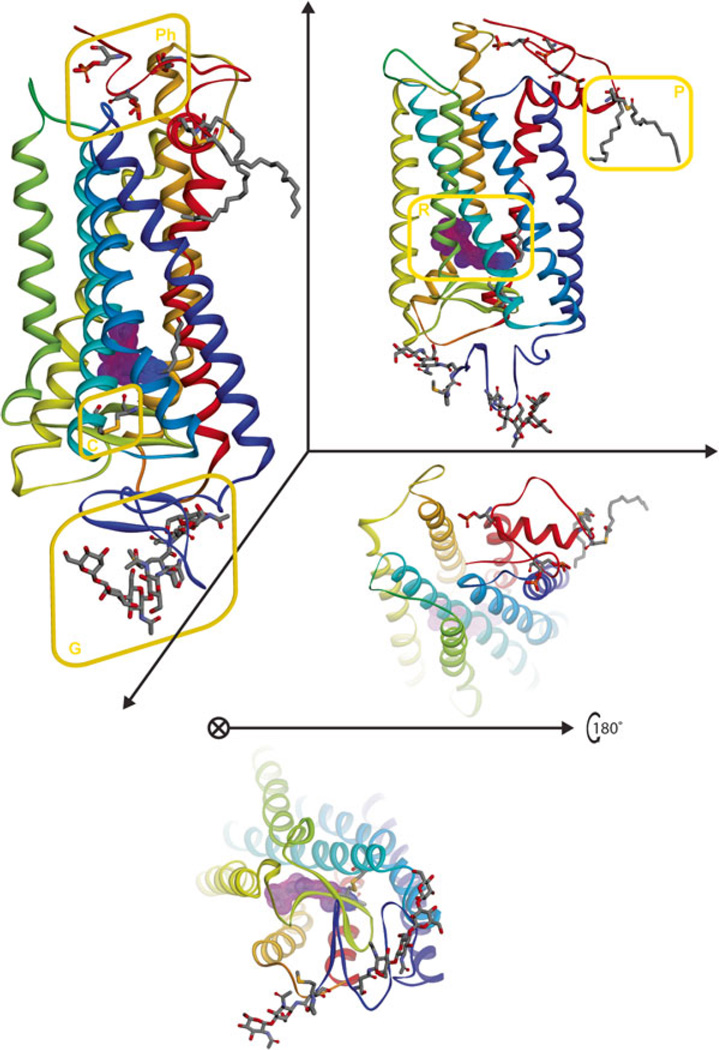 Fig. 1