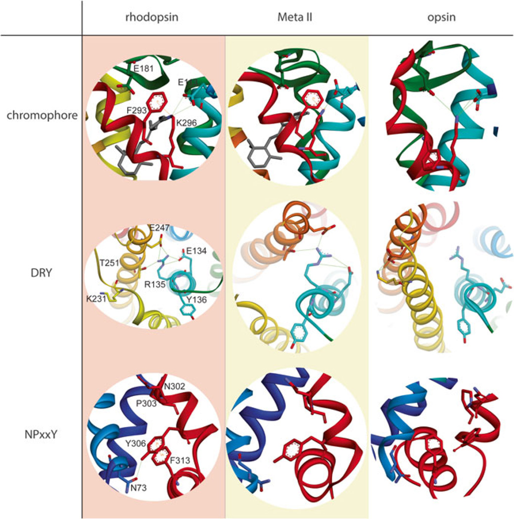 Fig. 8