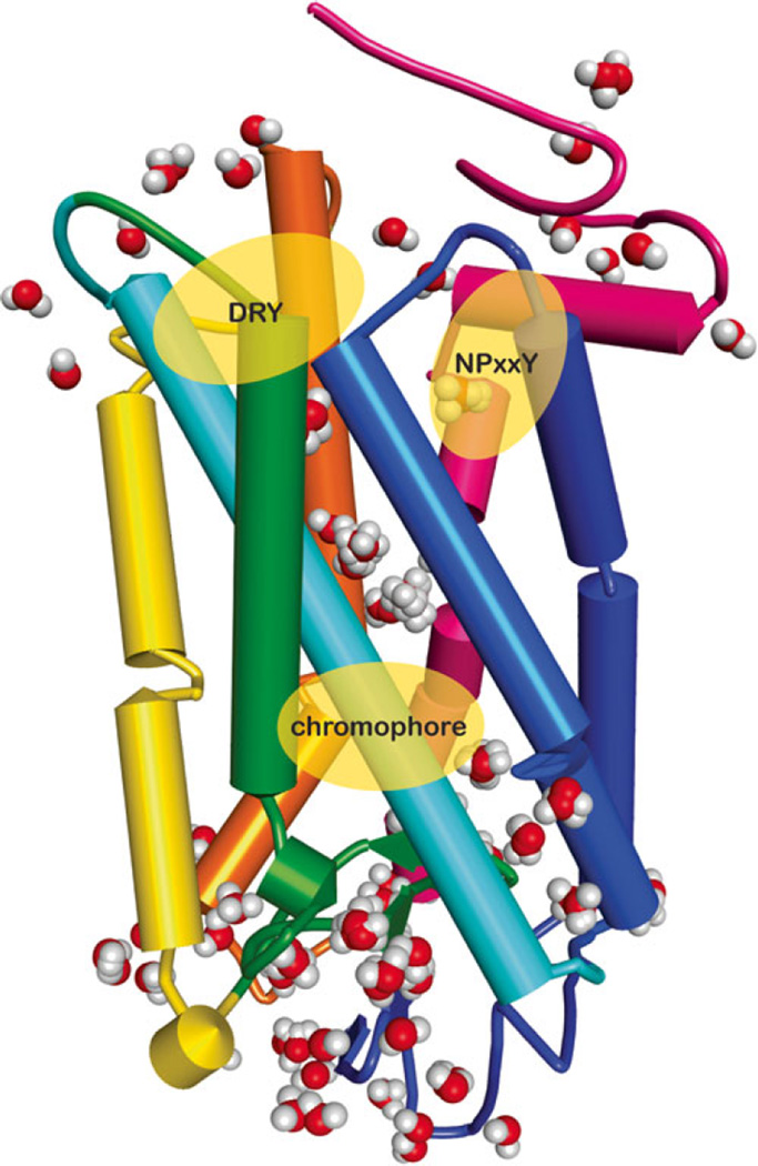 Fig. 7