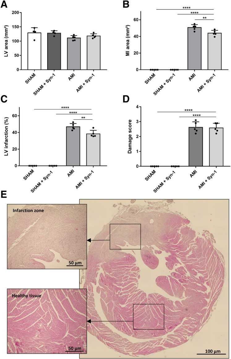 Figure 6