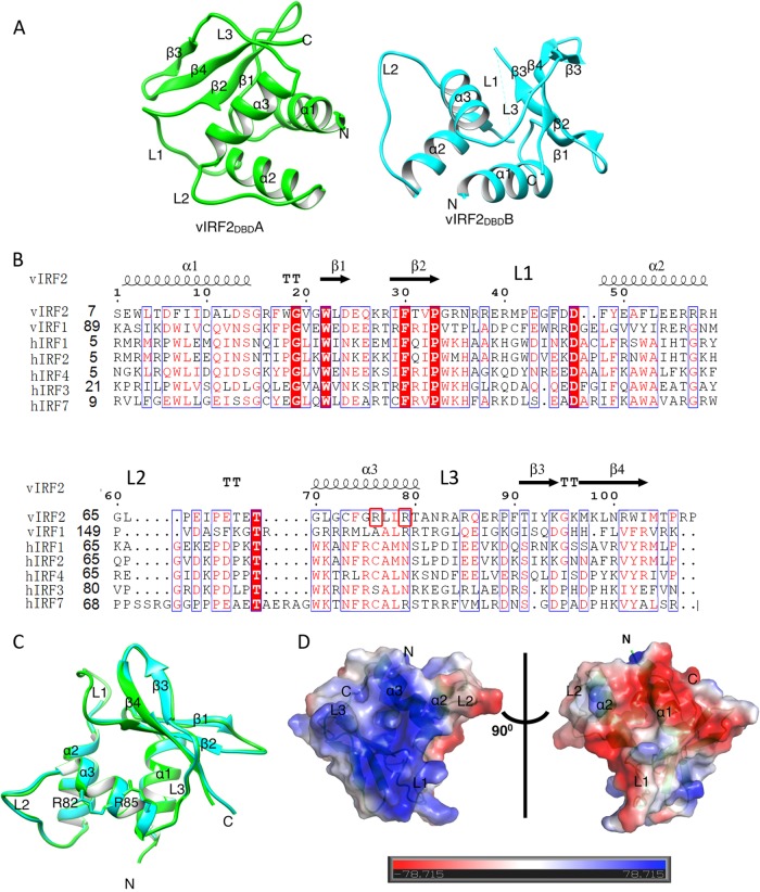 FIG 3