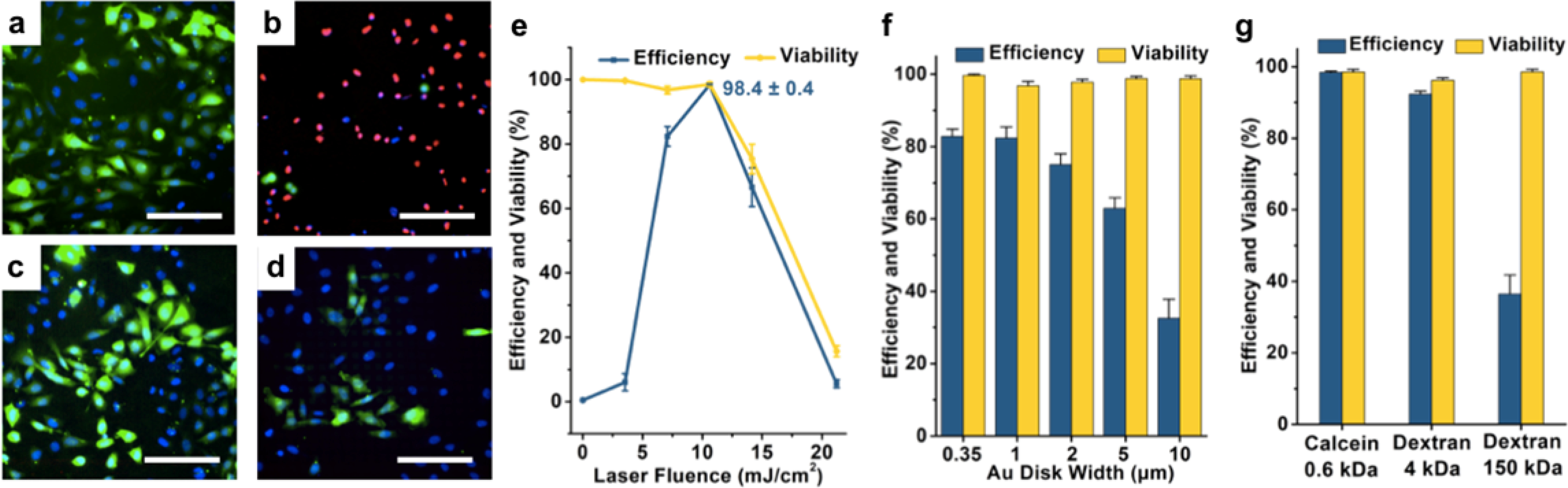 Figure 5.