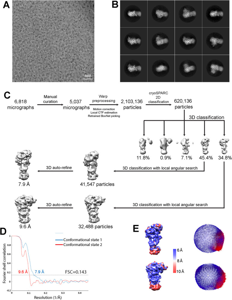 Fig 2