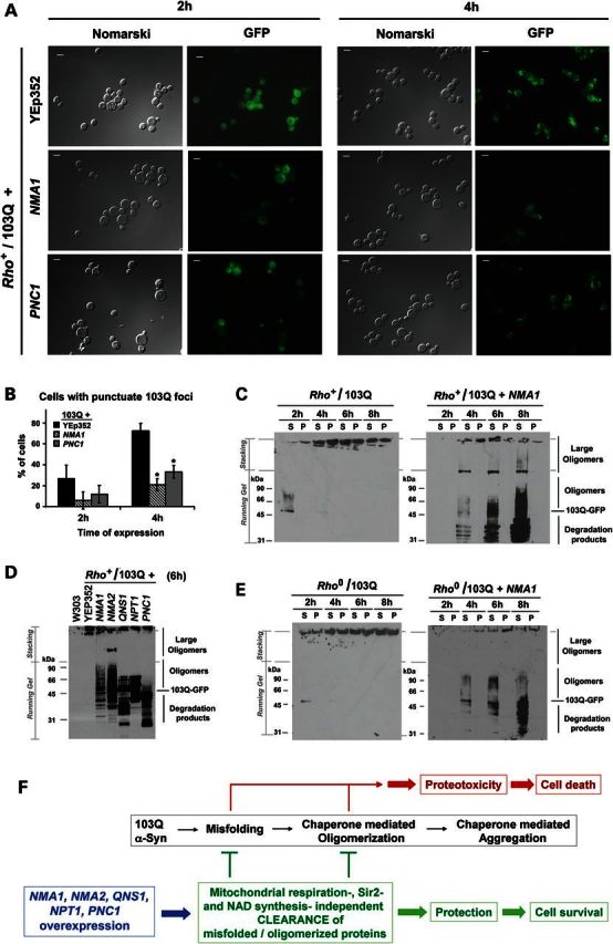 Figure 4.