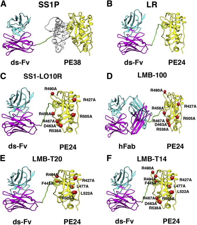 Figure 1