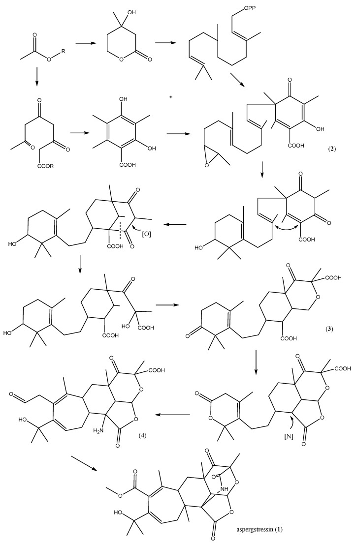 Scheme 1