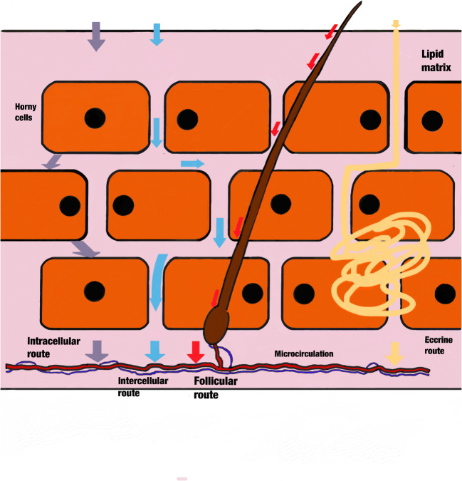 Fig. 2