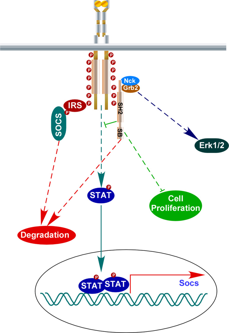 Fig. 3