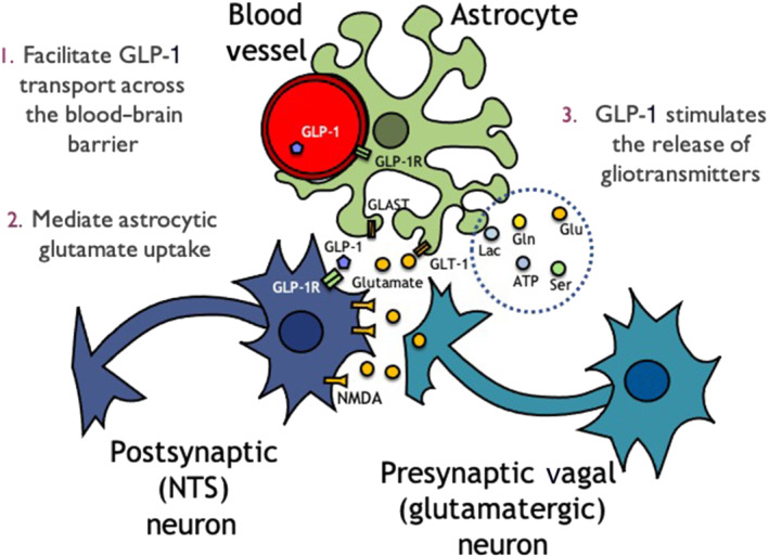 FIGURE 1