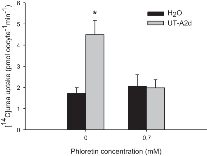 Fig. 9.