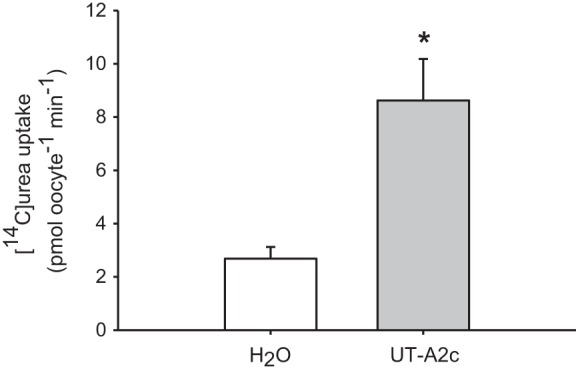 Fig. 8.