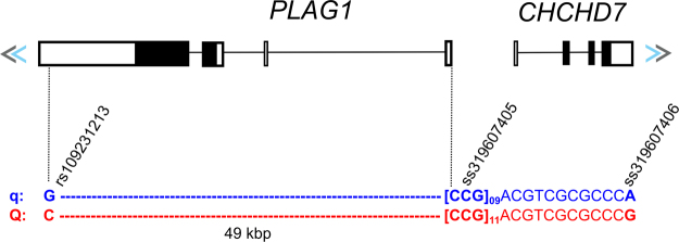 Figure 8