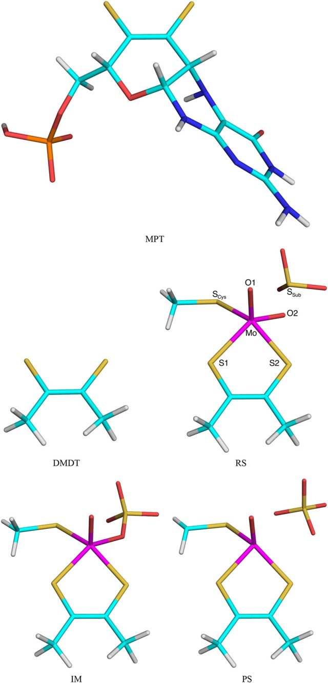 Figure 2