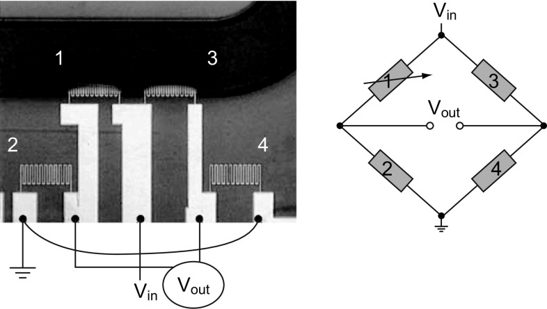 Fig. 4