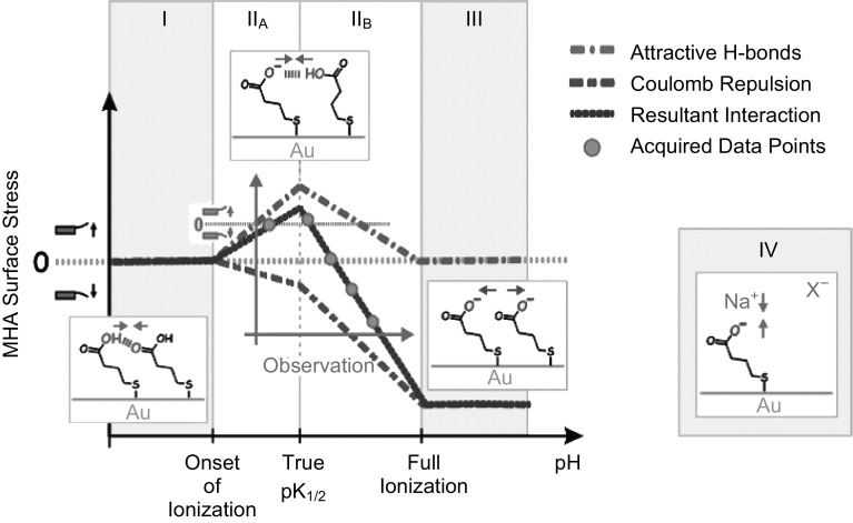 Fig. 12