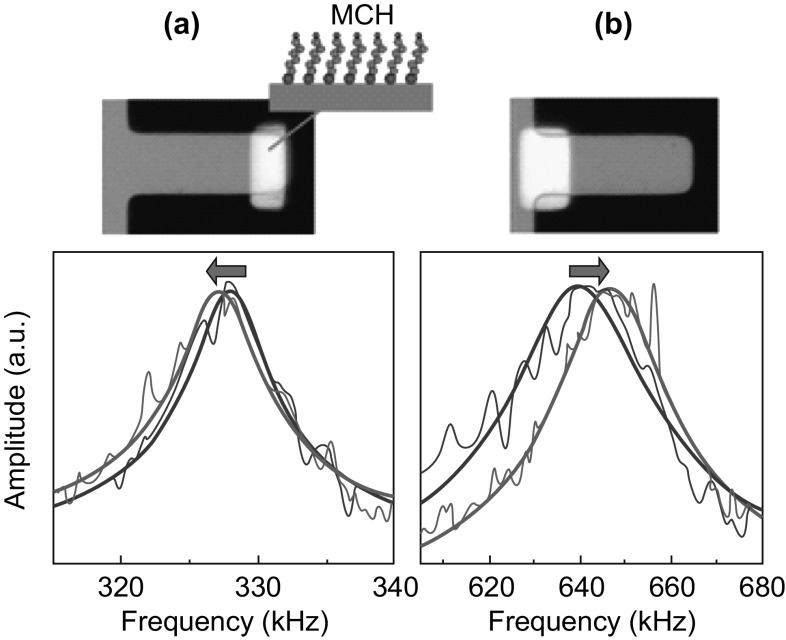 Fig. 9