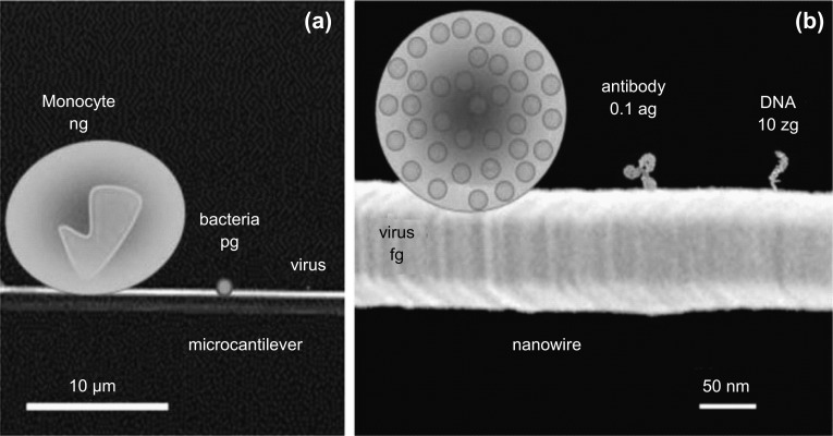 Fig. 11