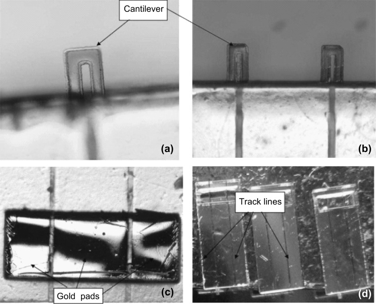 Fig. 16