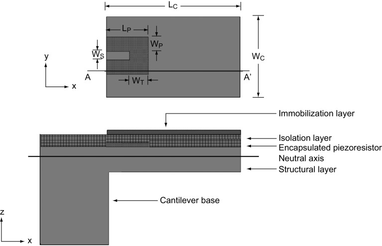 Fig. 1