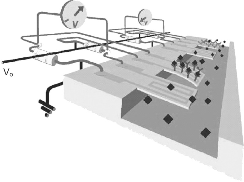 Fig. 6