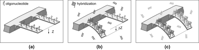 Fig. 10