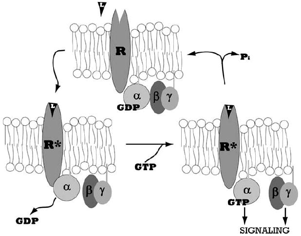 Fig. (2)