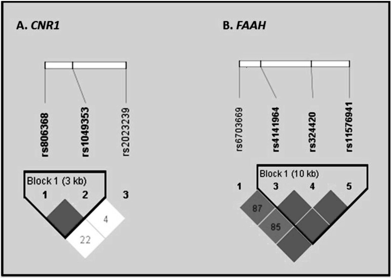 Figures 1a and 1b