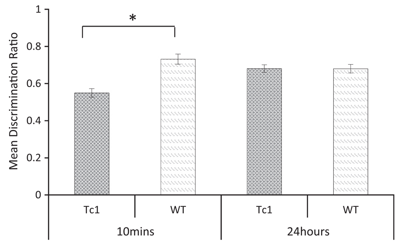 Fig 6