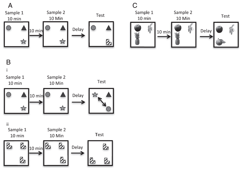 Fig 1