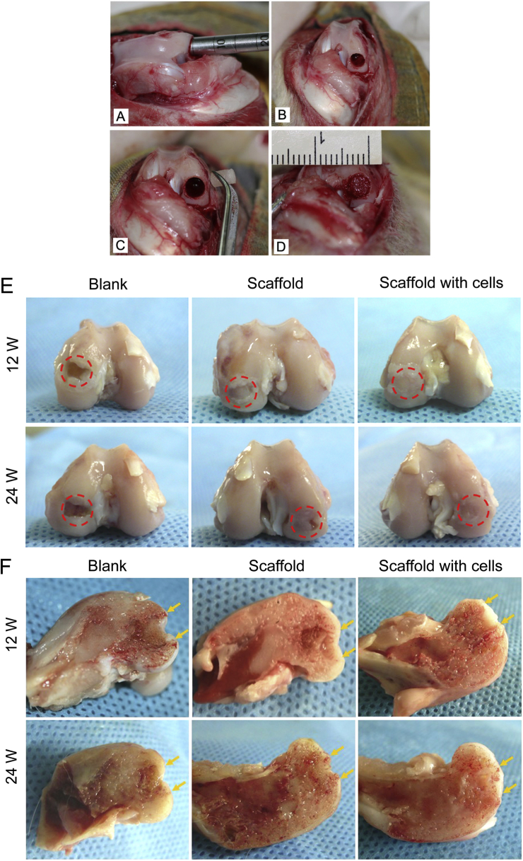 Figure 3