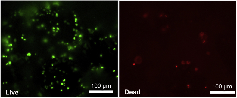 Figure 2