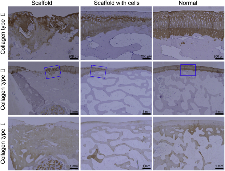 Figure 6