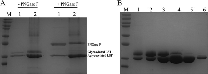 FIG 3