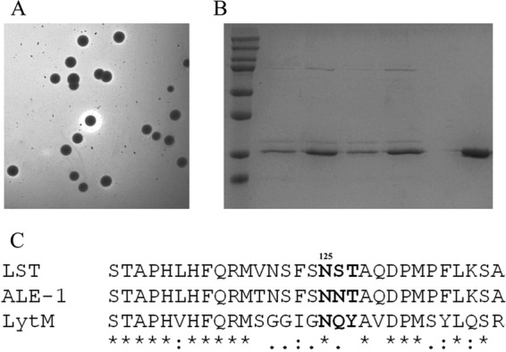 FIG 5