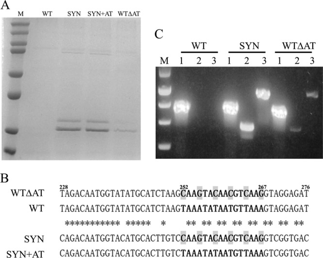 FIG 1