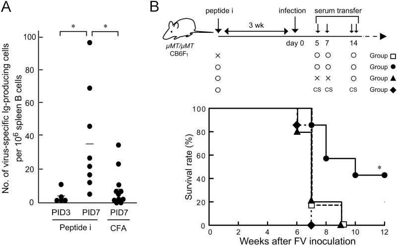 FIG 4