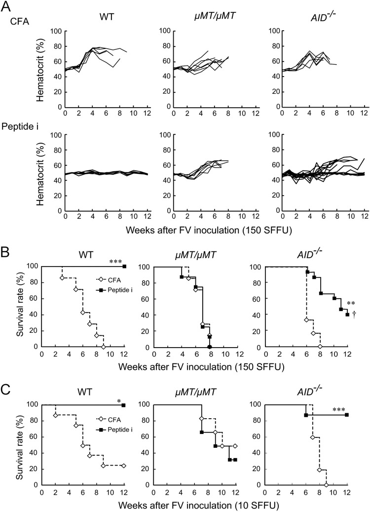 FIG 2