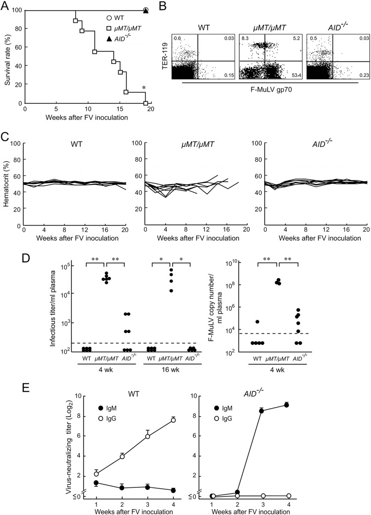 FIG 1