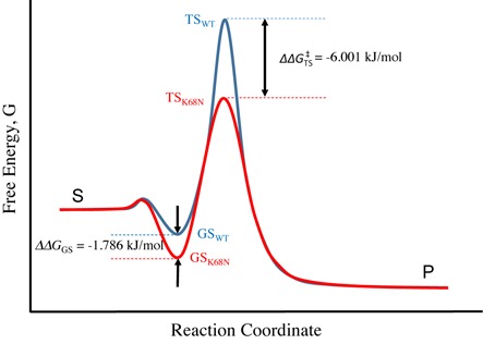 Figure 7.